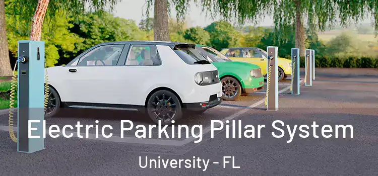 Electric Parking Pillar System University - FL