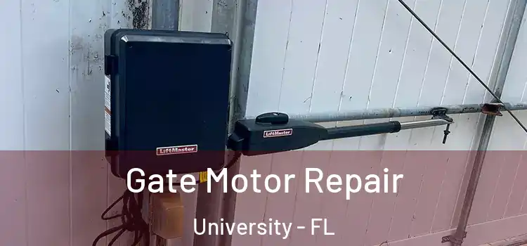 Gate Motor Repair University - FL