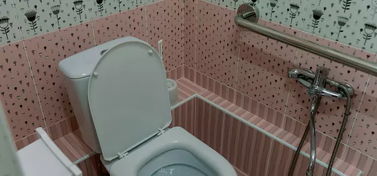 Meeting Diverse Needs With Accessible Restroom Solutions in University, FL